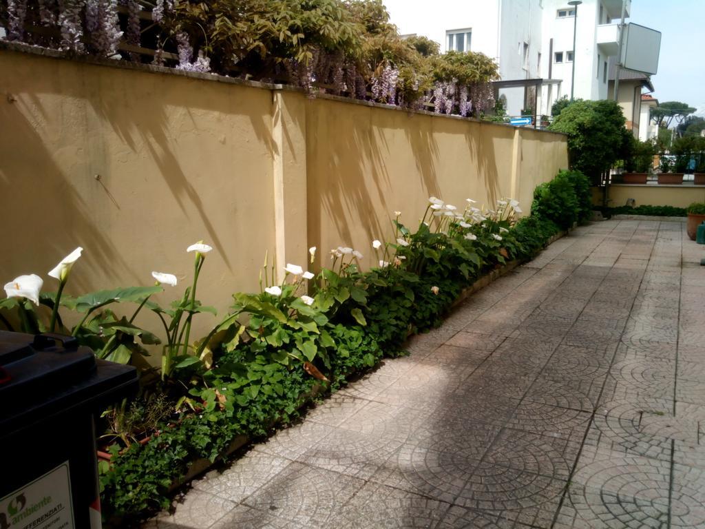 Hotel Margot Lido di Camaiore Exterior foto